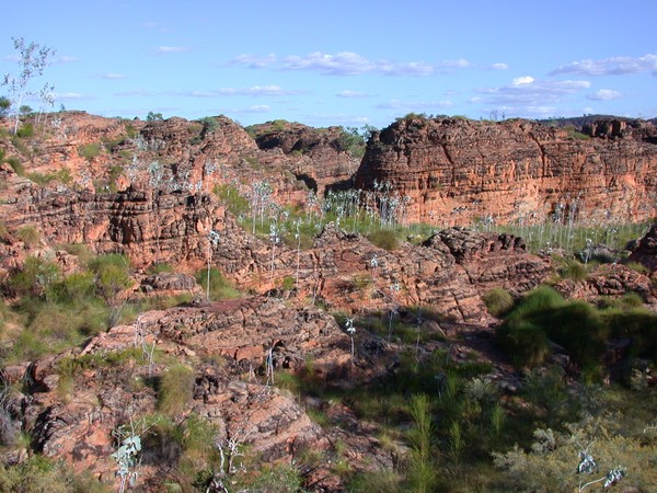 Gurrandalng Walk